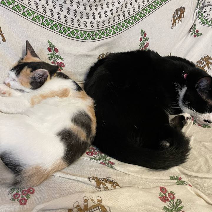 Eed13c1b 781e 4106 8a2c 86c031ddaae2 1665138644049