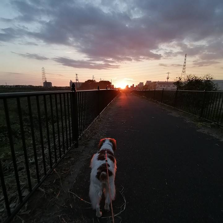 Eed14879 610b 4025 ba2f 5edb28133783 1632139246876