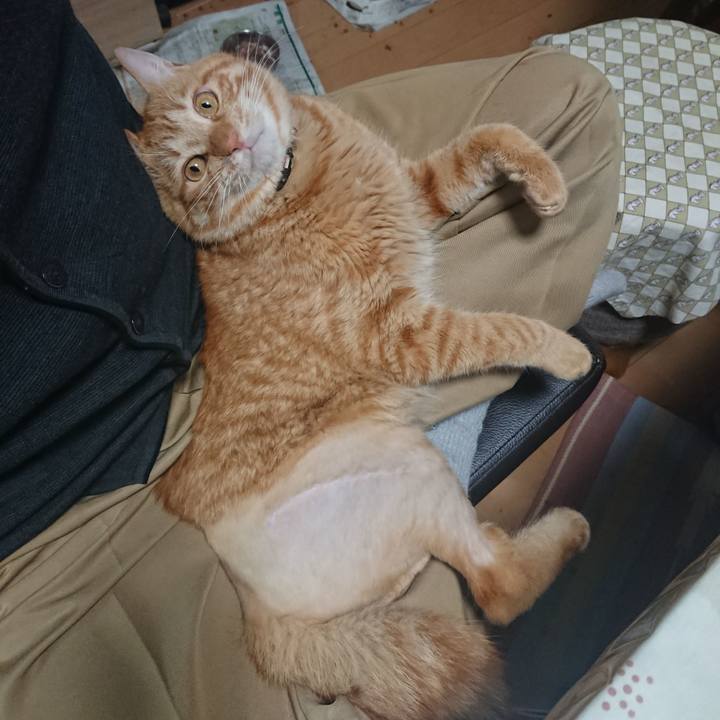 Eed1498c 6ee6 4092 ba95 efbfc7538e7d 1654739912728