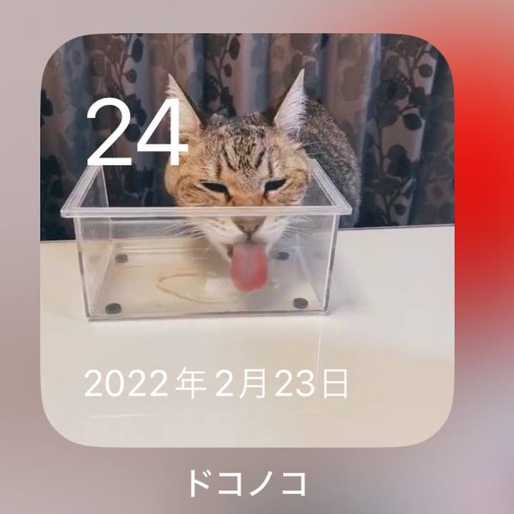 Eed14a48 2e08 402b be92 b3294b77847e 1708762558669