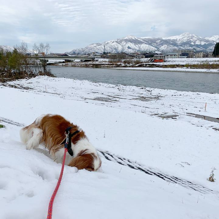 Eed15f92 918b 486c 88a2 13aa6b7866b7 1575695430580