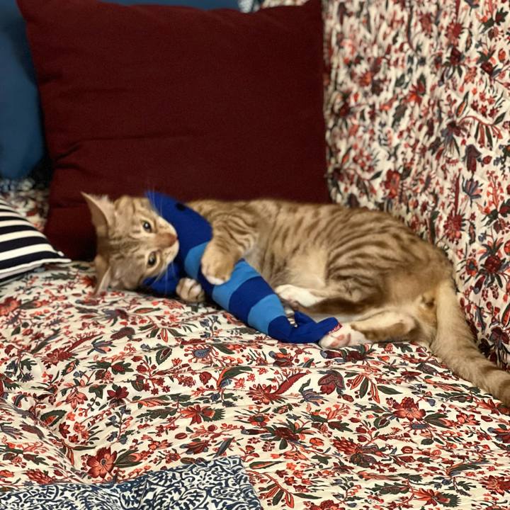 Eed1951c 85ca 4079 b4d8 fbe9f8887948 1659835437002