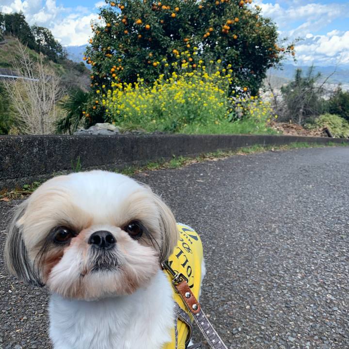 Eed1a840 7924 4c9b 9504 d1f75520a5c2 1585988616405