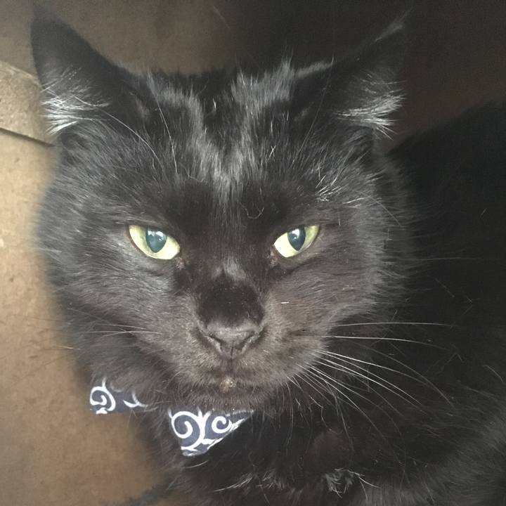 Eed1b13a b8b6 4b4a a6e5 cc635586b7ce 1546140254934