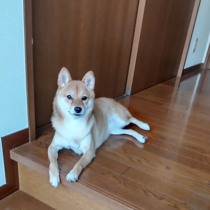 Eed1b31b 93d0 4792 b408 14b945a9a2e2 1631316238873