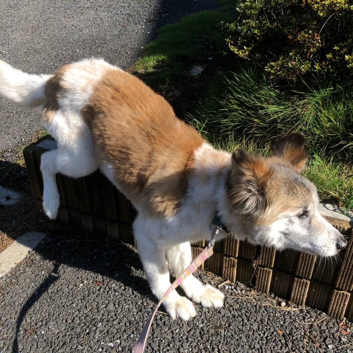 Eed1ec68 37a3 4382 a999 424ca454b54f 1534200774519