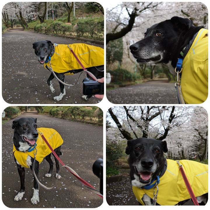 Eed203dd 6f3f 433c 86b0 4976edd51177 1743294858314