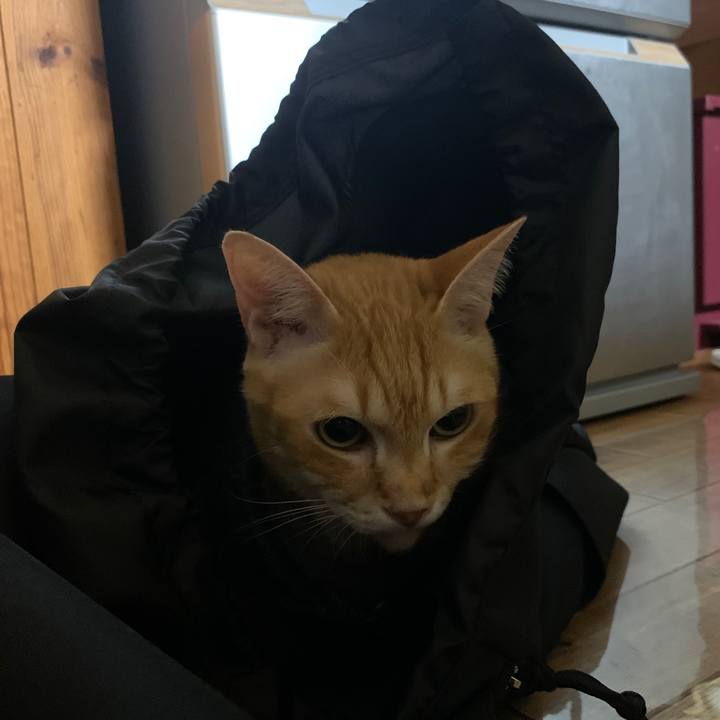 Eed2352b 20aa 4166 8cd5 de90627f833a 1656421439030