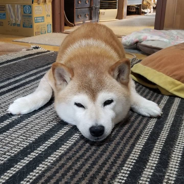 Eed27f12 6eb0 4837 8f1b 3b0397789137 1690759978873