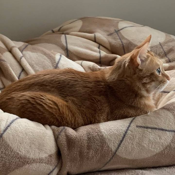 Eed2c111 5014 41cc 8cda 0d38ae794b9c 1619304761067