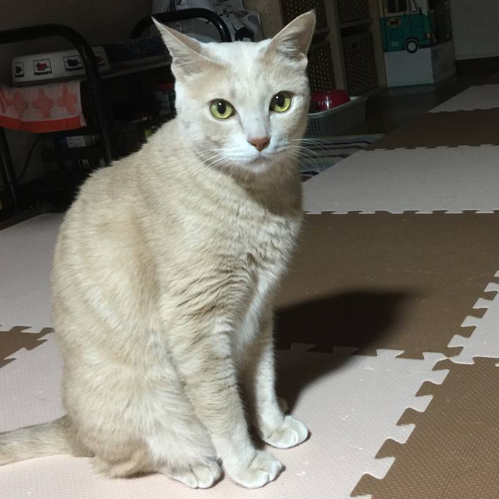 Eed2e517 30f2 485b a759 eaddc8a763ea 1540988310877