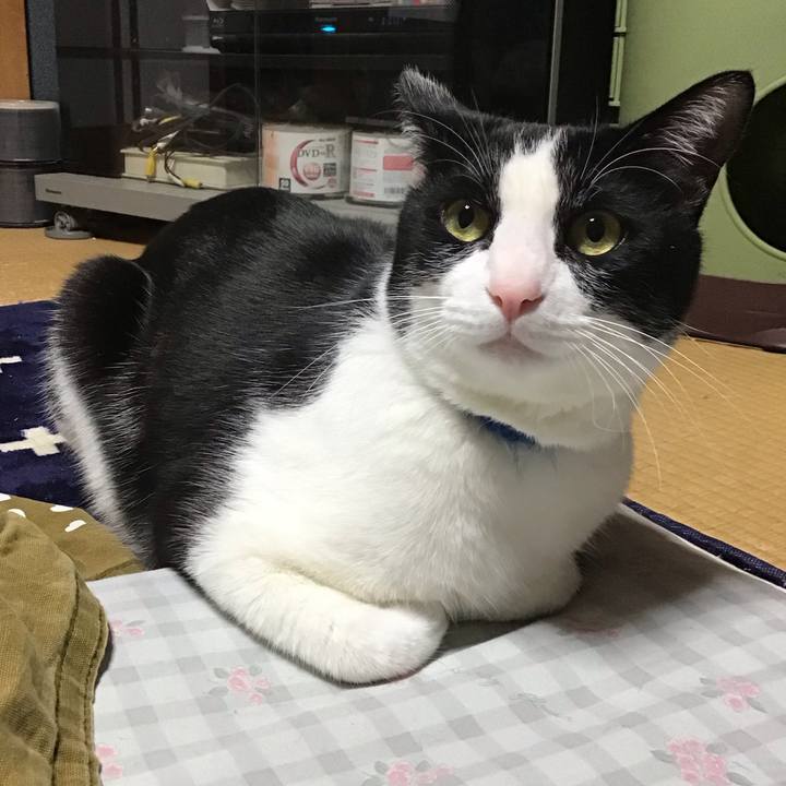 Eed3109d 1e45 4d75 bd48 e72845af991d 1708428868571