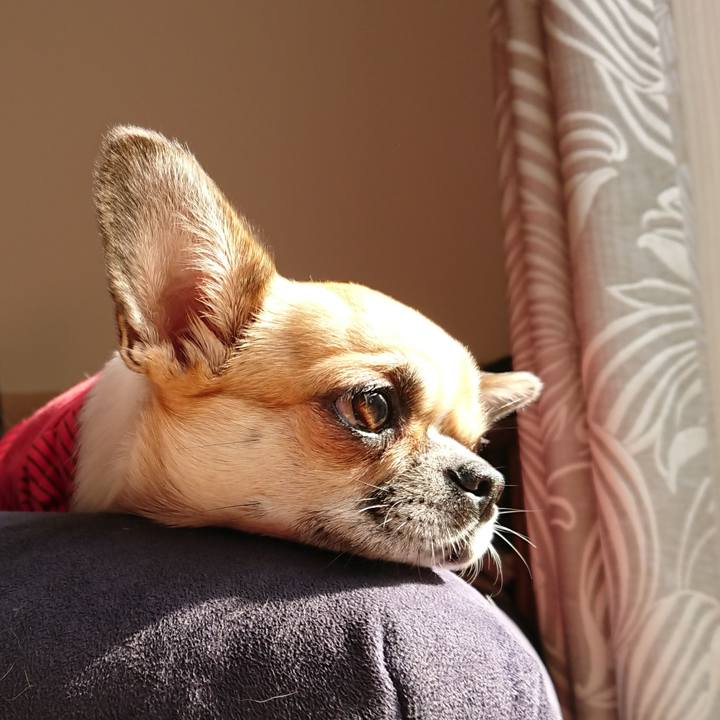 Eed359c0 587d 4cdf adc5 13883c028118 1573081561502