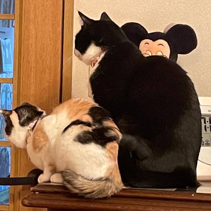 Eed36d78 e293 4840 bce9 78e00c4becd6 1673005160707