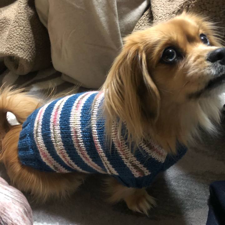 Eed37303 aed2 4674 9251 d882dc52c242 1547561525876