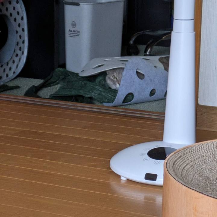 Eed384e4 e99d 4937 82d4 bba10e8e1f26 1687751978632