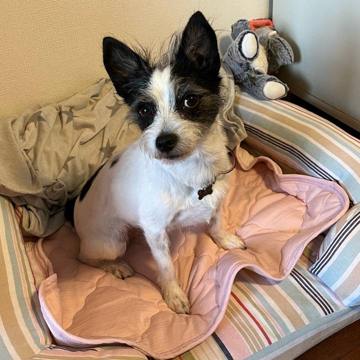 Eed3881d 4be4 4db2 836b 454005634b05 1660205025190