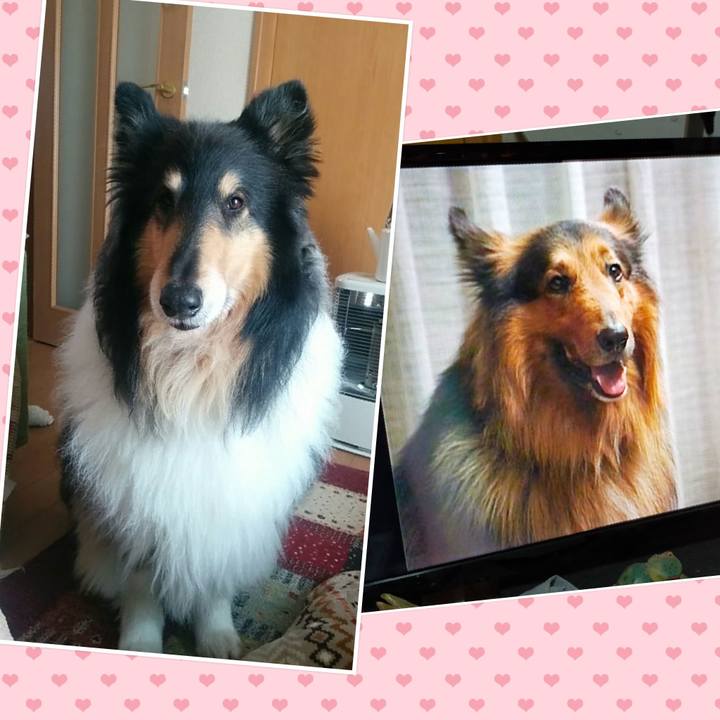 Eed3893a 86bc 42f6 9213 9ef073f52c8c 1656418759952