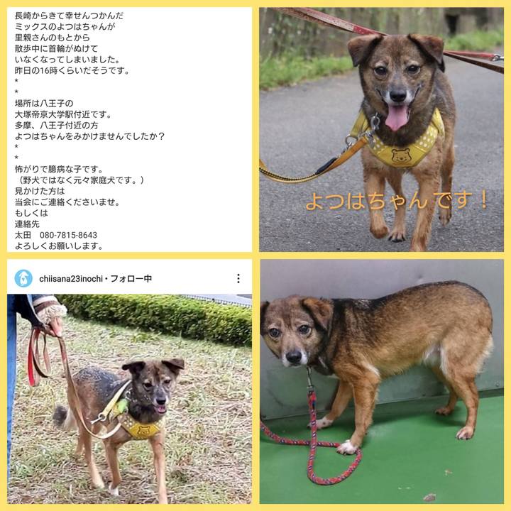 Eed3911b 1bce 4bfe b65c 09b0758f99fa 1610326462090