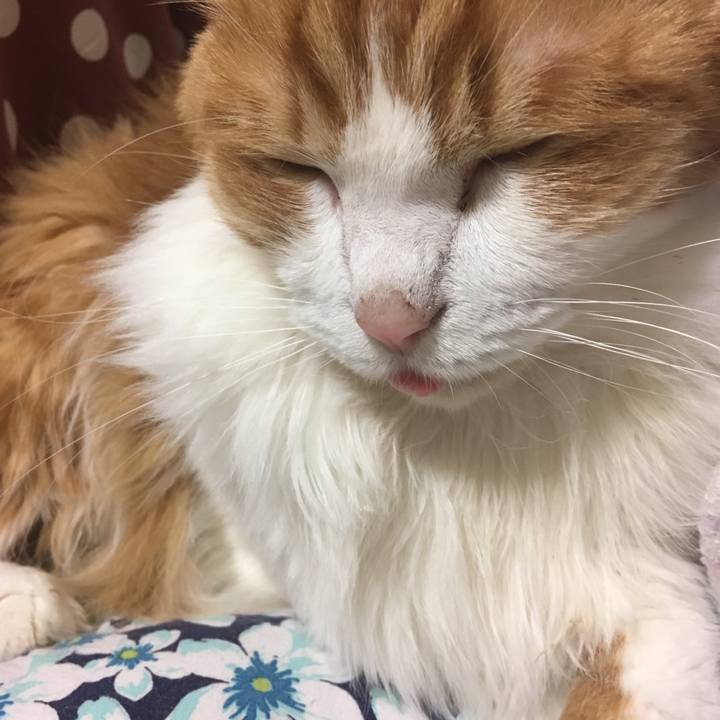 Eed3d30a 33e4 4d06 a74c c2bc02c358d5 1561040649609