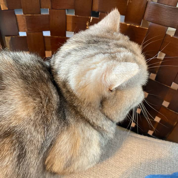 Eed3dc62 3b7f 4bfd b854 9f45bbb6f122 1738988530229