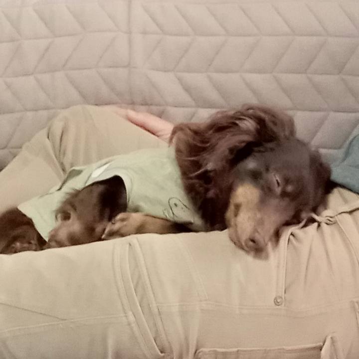 Eed3dd7b f42f 45a0 ba56 d93ec11dc887 1766440246093