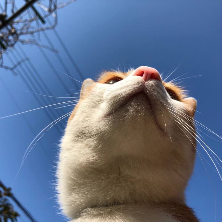 Eed3eadb 6499 49e9 8086 6ad8370dafd6 1548904947910