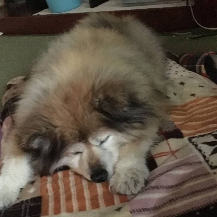 Eed3ed74 5fb8 4aa8 8d78 dead7c34af63 1586452158283