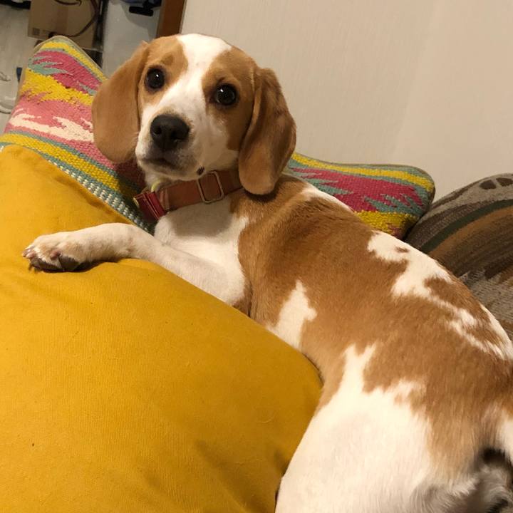 Eed40428 0013 4a53 abf5 41e3e0b32297 1537438950879