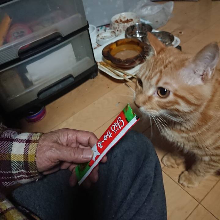 Eed40e9b cc54 4e3b ab14 10af84c978ab 1639687890836