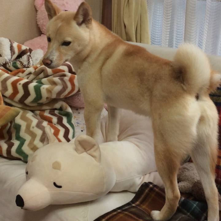 Eed41474 4d65 4824 8eea 4513d37fd3e8 1511660617852