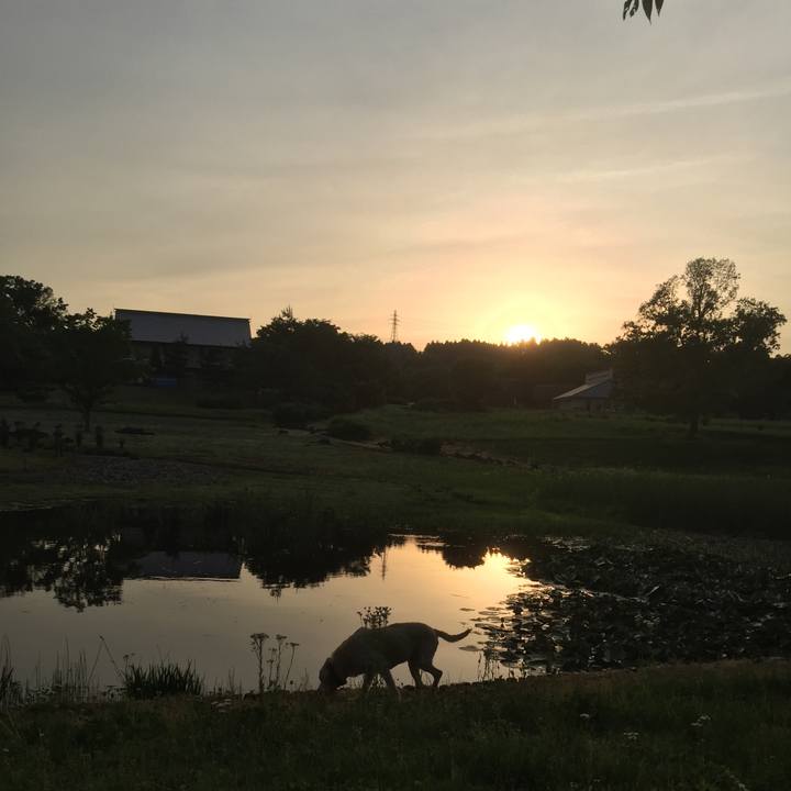 Eed422d4 9206 4086 900e 985d9078c807 1564837911524