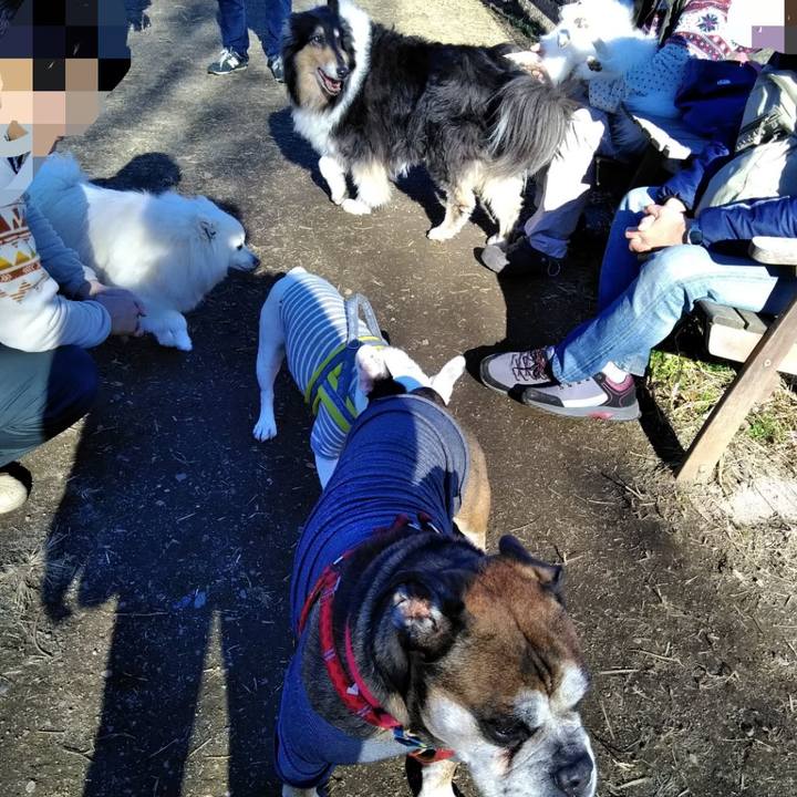 Eed43acd b994 4a69 97a8 f4f2472d435c 1545703352699