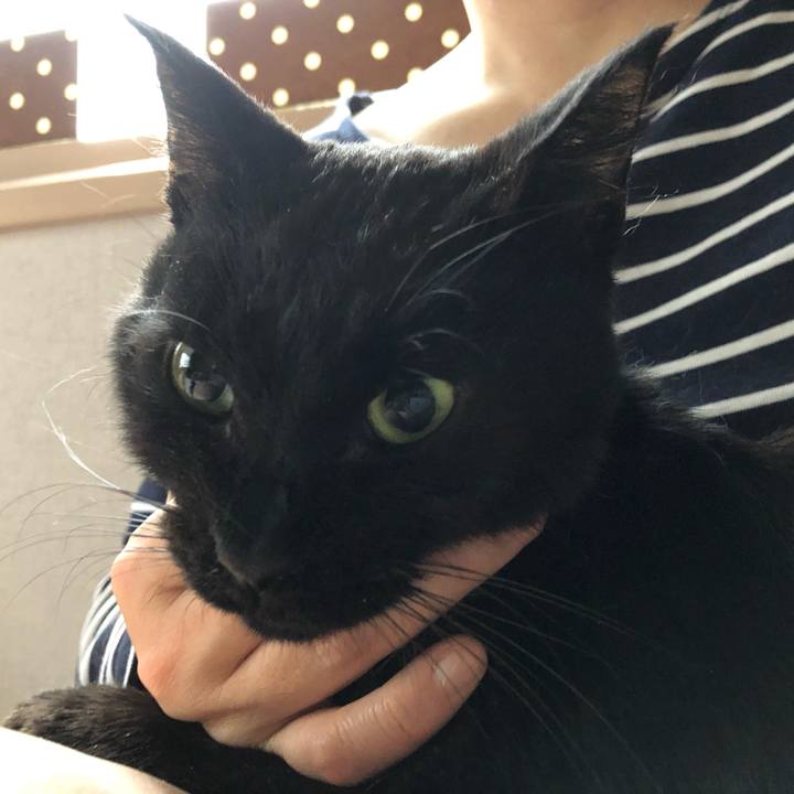 Eed44690 42a9 4a90 bca0 f76d8093b297 1556315667973