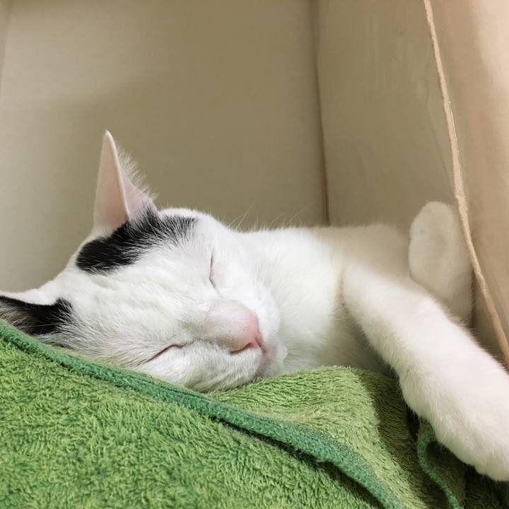 Eed485cf 4f1b 49f2 8a03 14782e0c189f 1526480122757