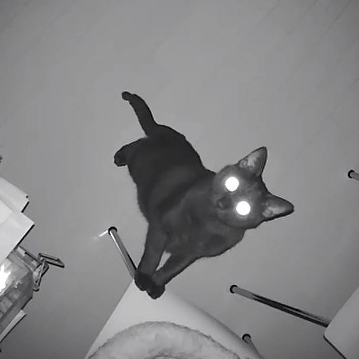 Eed48be8 c9fc 47fe bd8a a819b5af11e8 1509112263628