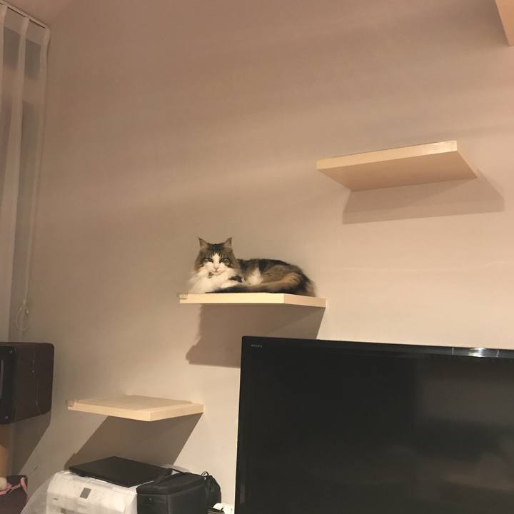 Eed49a20 b5ae 4f7f b2d9 6e719767959f 1586786060377