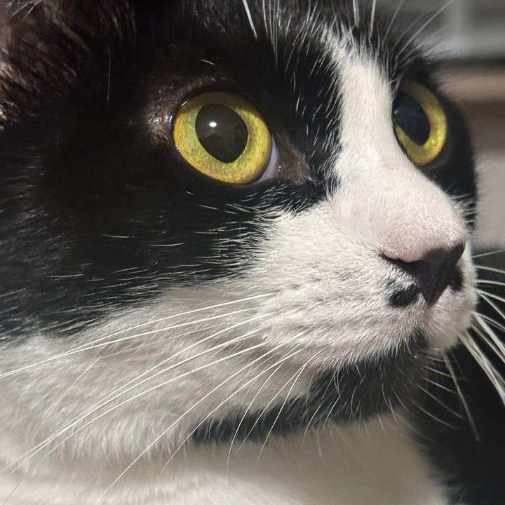 Eed4a18a 0667 4c8f 9ef0 96811a79f41b 1760148288234