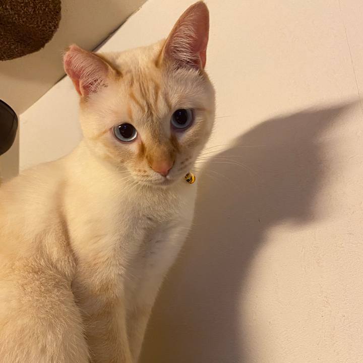 Eed546f9 b08f 4550 b3f1 03fbe63a5a35 1615244048257