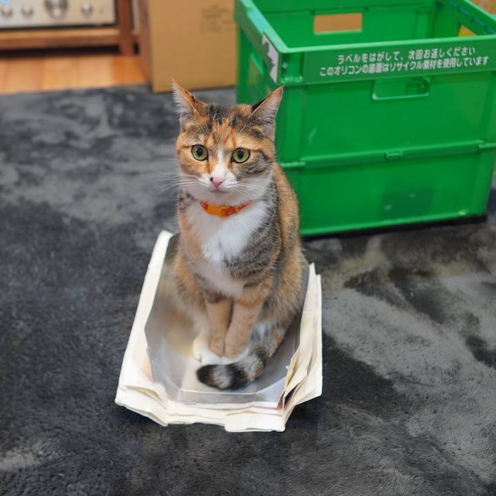 Eed57e75 9708 49d7 bae7 6127ea50ab6b 1612274900984