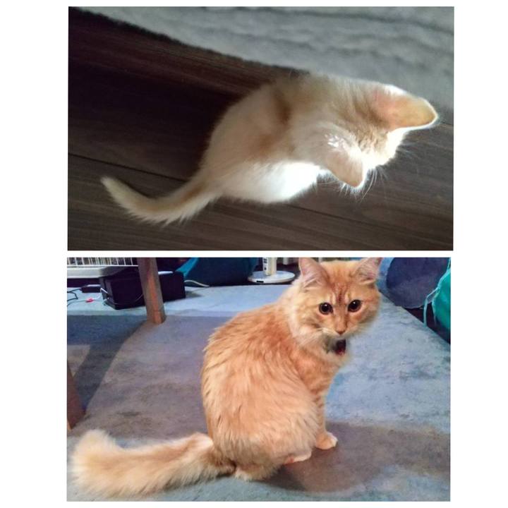 Eed580a8 93c8 4c48 9c0d 1766eed04c68 1633837390261