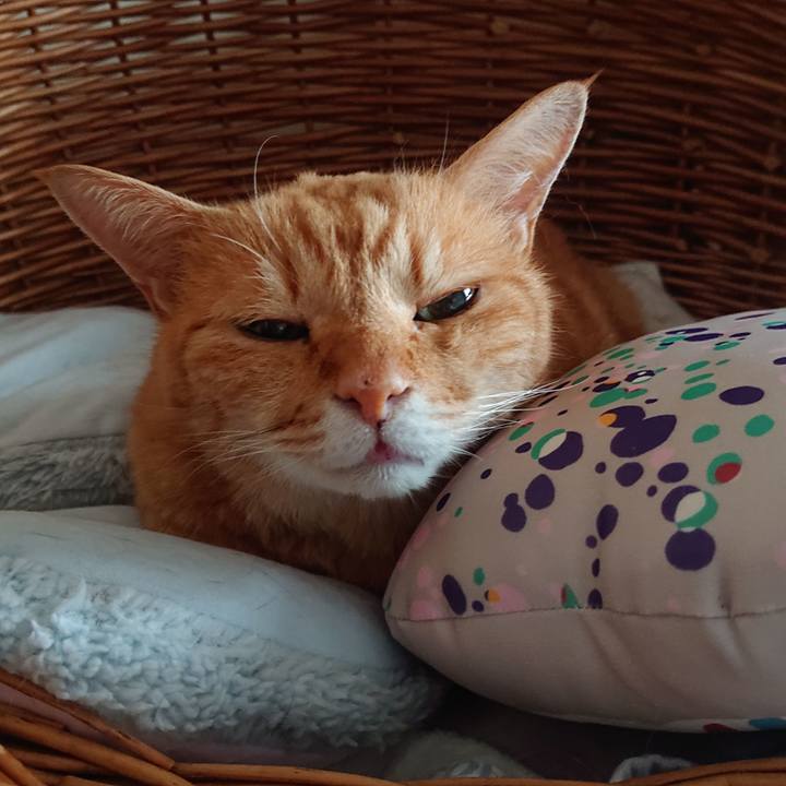 Eed582b2 a678 43ce 9f6f 7e626226c0f5 1695772429205