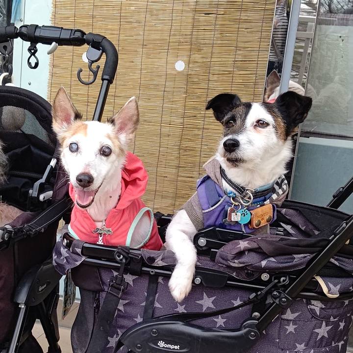 Eed58500 643e 4c1d ace0 1e7c1ac14b59 1708411474258