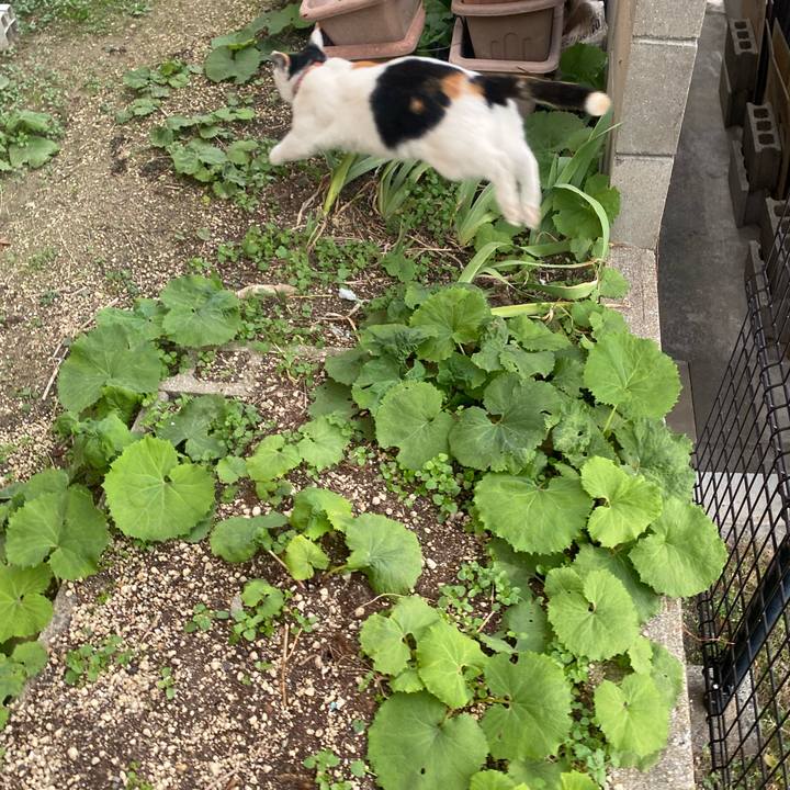 Eed5a6c7 88fb 4720 99c3 950db4304188 1640597721077