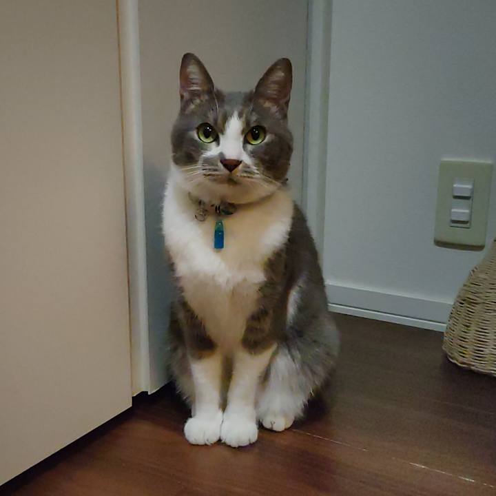 Eed5fc3c a538 4bb0 aee7 544bf2459e0f 1703946394350