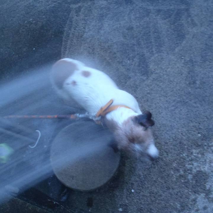 Eed61b84 97ae 4672 b504 4e529acda147 1532515306921