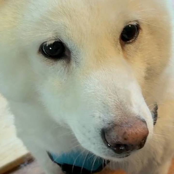 Eed653e6 ef4a 405d b627 8f23ab534013 1763174029443