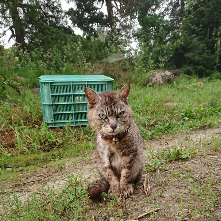 Eed67dc0 d233 4844 9cdb ff8c5fd4dc61 1596497376802