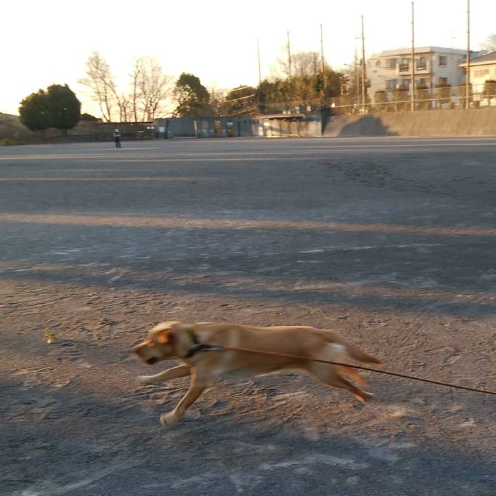 Eed6a709 179f 46ba acc7 440fb9dfd618 1520055024998