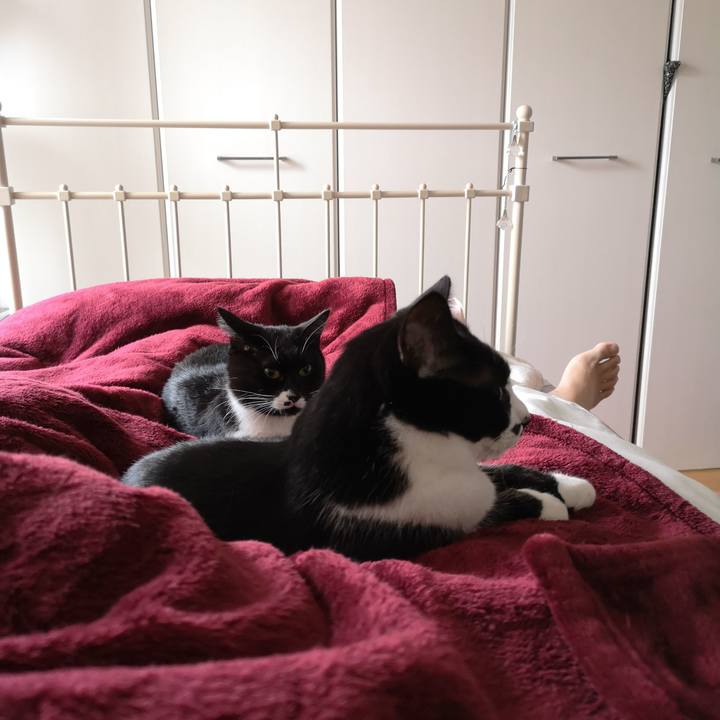 Eed6c6ac bdac 4416 abe4 1477629a77b7 1544397453265